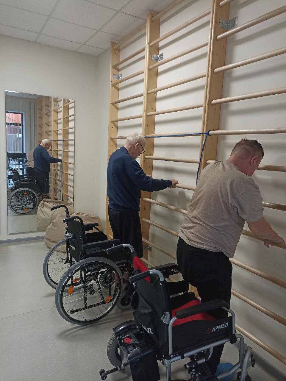 Занятия на шведской стенке выполнение упражнений с различной амплитудой